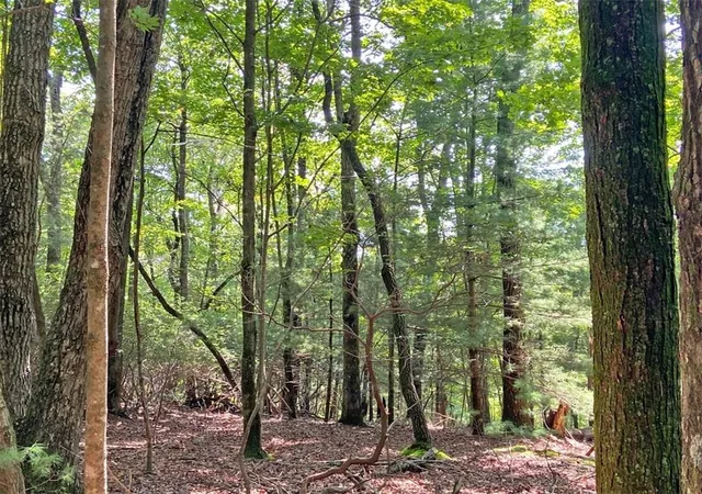 1st image of 11ac T S Jarrard Rd, Dahlonega, GA 30533 | MLS# 7823533