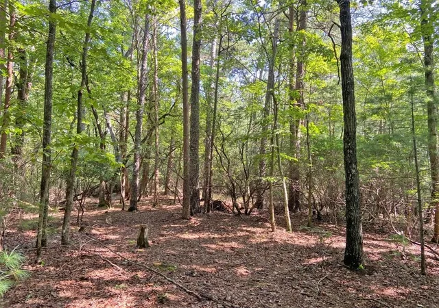Photo 3 of Land for sale at 11ac T S Jarrard Rd, Dahlonega, GA 30533 | MLS# 7823533 | Listing updated on 2026-08-19