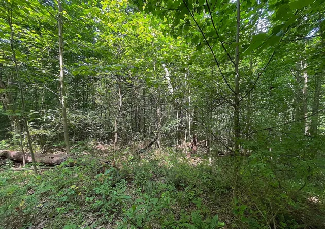 Photo 1 of Unimproved Land at 0 Goosecreek Rd, Mc Arthur, OH 45651 | MLS# 221029568 |  | Sold on 2021-10-15