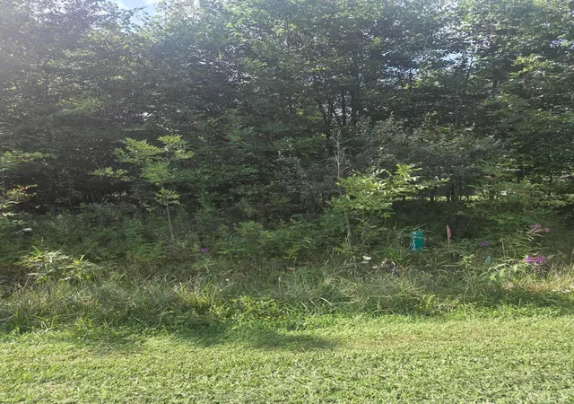 1st image of 0 Cranberry Trail Rd, Mount Gilead, OH 43338 | MLS# 224037214