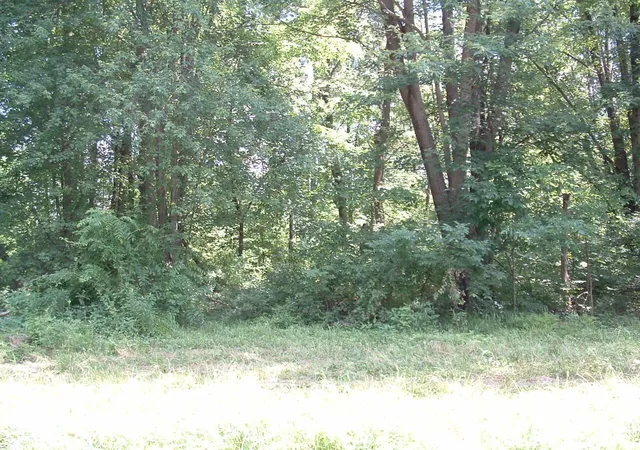 16th image of 0 Clover Valley Rd Nw, Johnstown, OH 43031 | MLS# 225023382