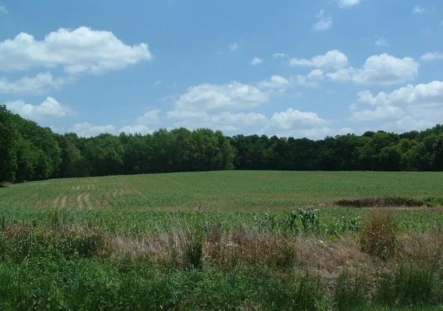 1st image of 0 Clover Valley Rd Nw, Johnstown, OH 43031 | MLS# 225023382