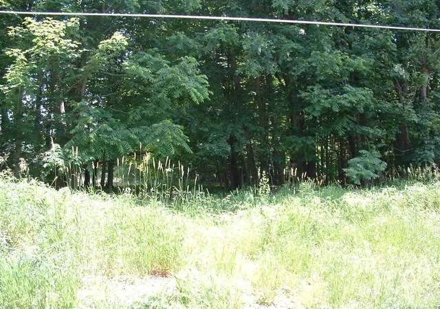 Photo 3 of Land for sale at 0 Clover Valley Rd Nw, Johnstown, OH 43031 | MLS# 225023382 | Listing updated on 2026-07-29