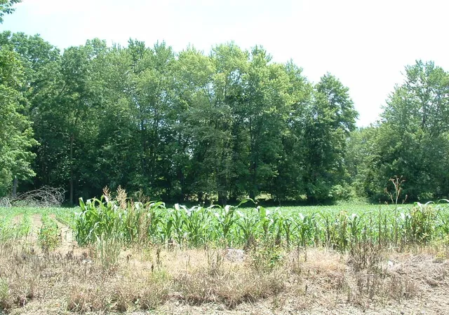 Photo 4 of Land for sale at 0 Clover Valley Rd Nw, Johnstown, OH 43031 | MLS# 225023382 | Listing updated on 2026-07-29