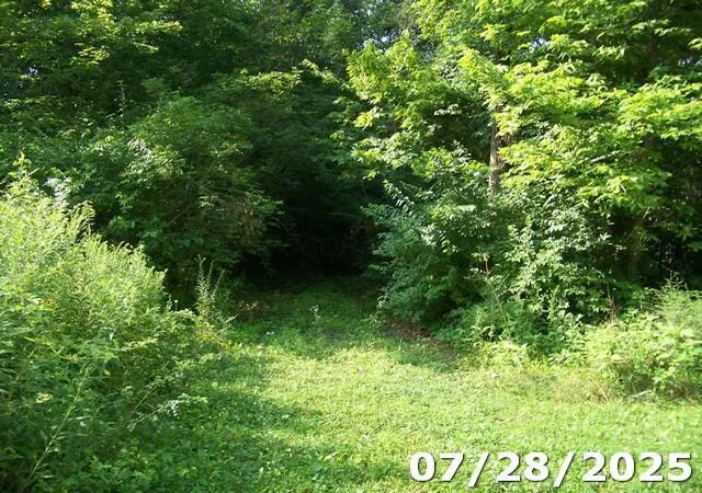 1st image of 0 Owens Rd E, Marion, OH 43302 | MLS# 225029318