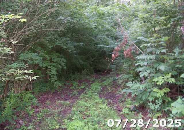 2nd image of 0 Owens Rd E, Marion, OH 43302 | MLS# 225029318