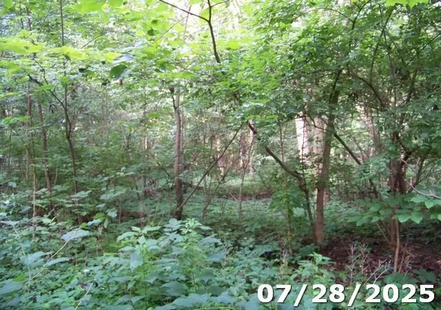 Photo 3 of Sale Pending at 0 Owens Rd W, Marion, OH 43302 | MLS# 225029318 | Listing updated on 2026-07-10