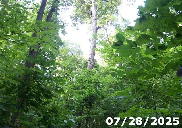 Photo 4 of Sale Pending at 0 Owens Rd W, Marion, OH 43302 | MLS# 225029318 | Listing updated on 2026-07-10