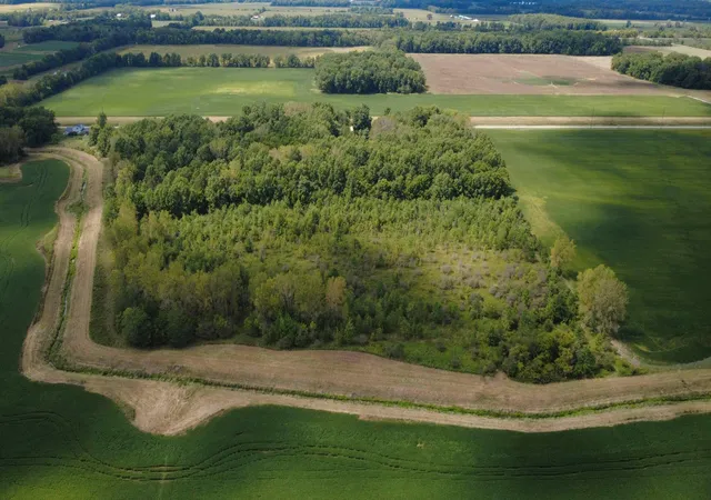 5th image of 00 Osbun Rd #Lot 6, Morral, OH 43337 | MLS# 225032280