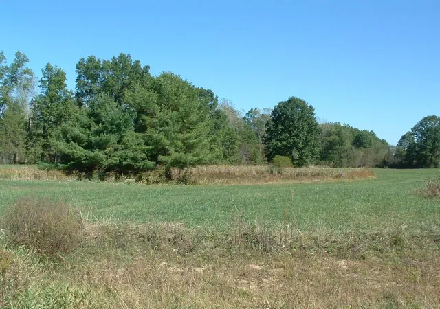 4th image of 0 Nichols Lane Rd Nw, Johnstown, OH 43031 | MLS# 225037254