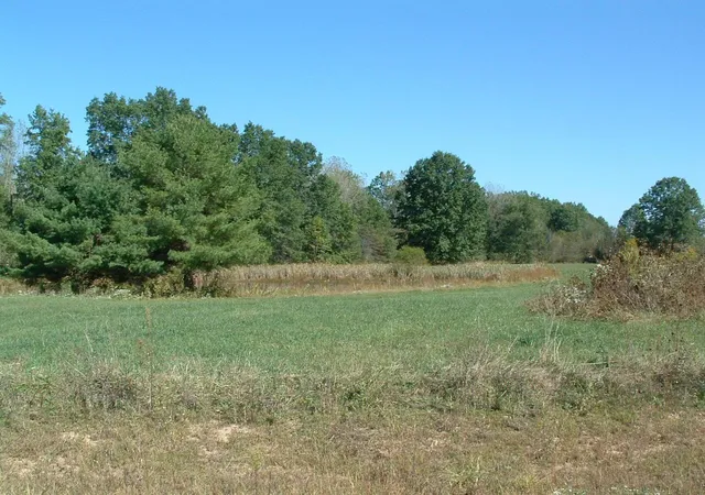 5th image of 0 Nichols Lane Rd Nw, Johnstown, OH 43031 | MLS# 225037254