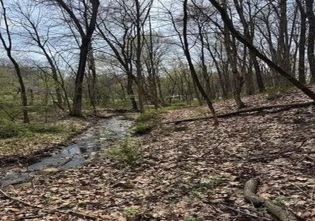 Photo 2 of Land for sale at 0 Walnut Dowler Rd, Logan, OH 43138 | MLS# 225043922 | Listing updated on 2026-07-29