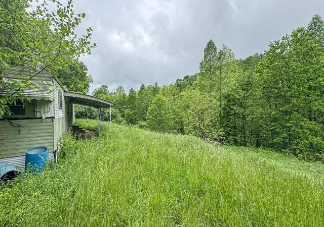 Homes for sale in Lower Salem, OH | 0 County Rd 46, Lower Salem, OH 45745 | MLS# 225046241