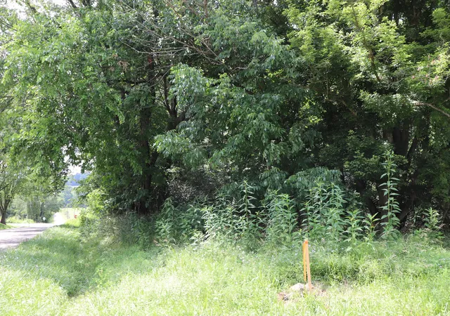 Homes for sale in Howard, OH | 0 Mcintosh Court #LOT 321, Howard, OH 43028 | MLS# 225046459