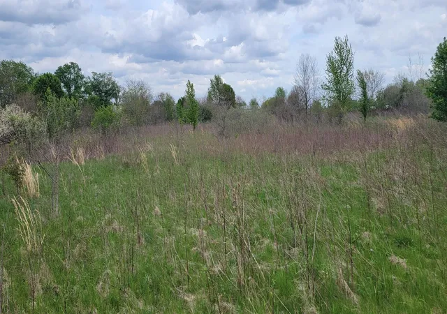 Homes for sale in Orient, OH | 0 Federal Rd, Orient, OH 43146 | MLS# 226000581