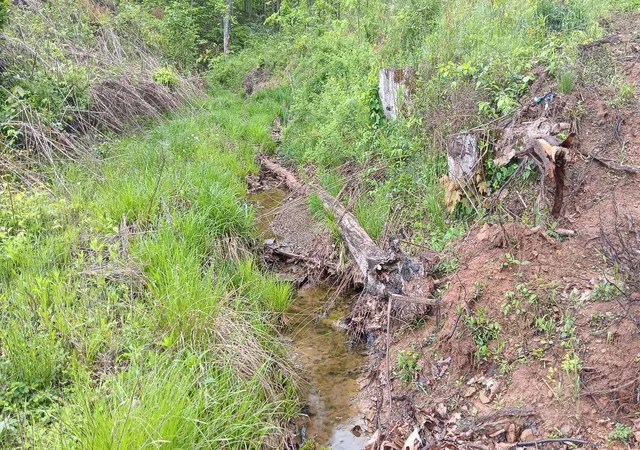 Photo 5 of Land for sale at 0 Hampton Holw Rd, Langsville, OH 45741 | MLS# 226003271 | Listing updated on 2026-08-21