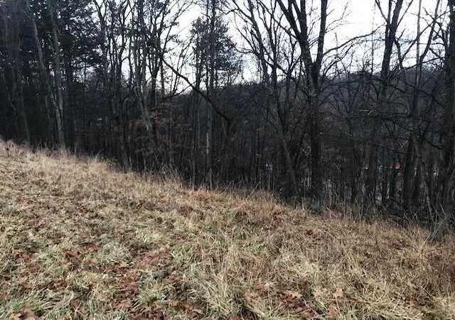 Photo 3 of Land for sale at 277 Merry Wood Dr Ne, Newark, OH 43055 | MLS# 226005768 | Listing updated on 2026-09-29