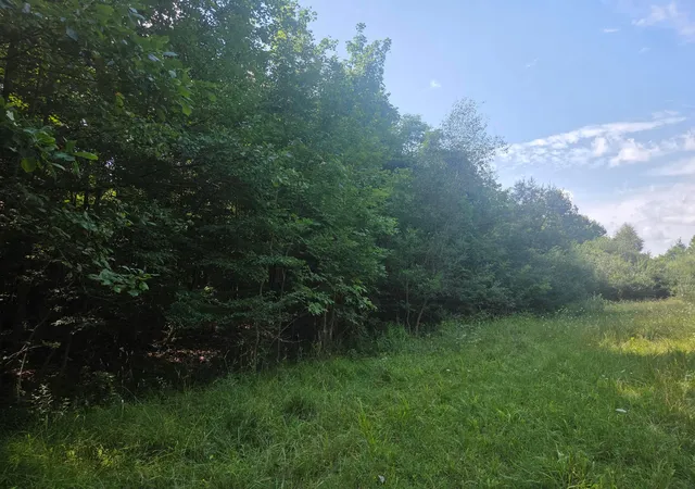 1st image of 7326 Ohio 19 #Unit 10 Lot 277, Mount Gilead, OH 43338 | MLS# 226006707