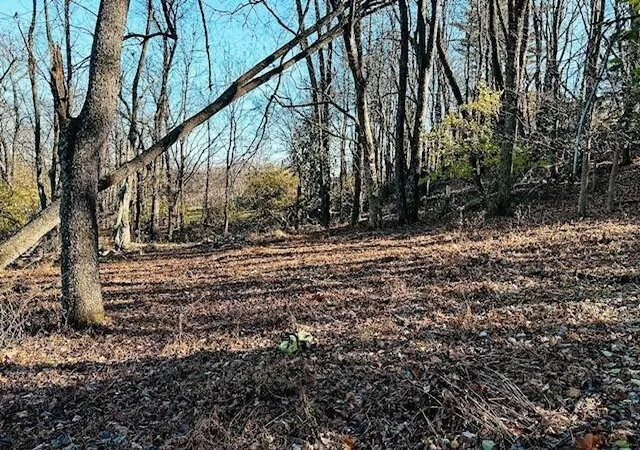 31st image of 800 W Main St, Loudonville, OH 44842 | MLS# 226007275