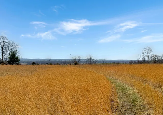 2nd image of 3695 State Route 55, Urbana, OH 43078 | MLS# 226007411