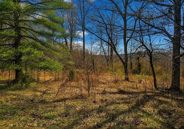Photo 2 of Land for sale at 799 Woodruff Rd, Vinton, OH 45686 | MLS# 226007598 | Listing updated on 2026-07-29