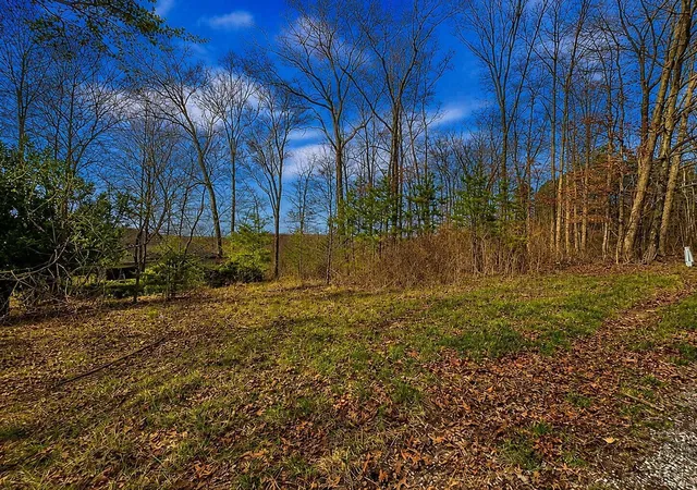 Photo 3 of Land for sale at 799 Woodruff Rd, Vinton, OH 45686 | MLS# 226007598 | Listing updated on 2026-09-26