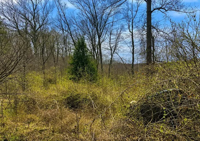 Photo 4 of Land for sale at 799 Woodruff Rd, Vinton, OH 45686 | MLS# 226007598 | Listing updated on 2026-07-29