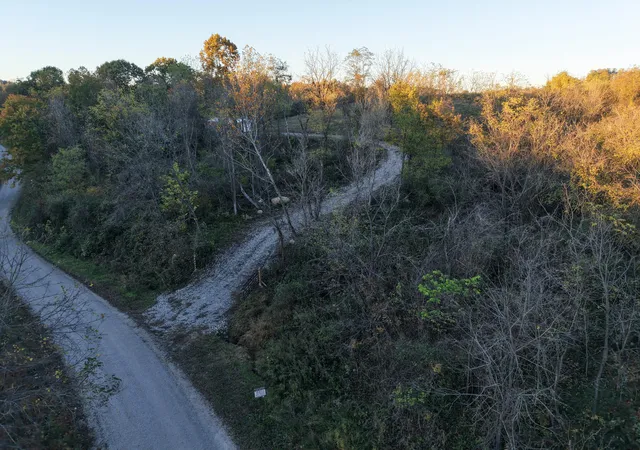 Photo 1 of Land for sale at 56 Roscoe Rd, Oak Hill, OH 45656 | MLS# 226009090 | Listing updated on 2026-10-21
