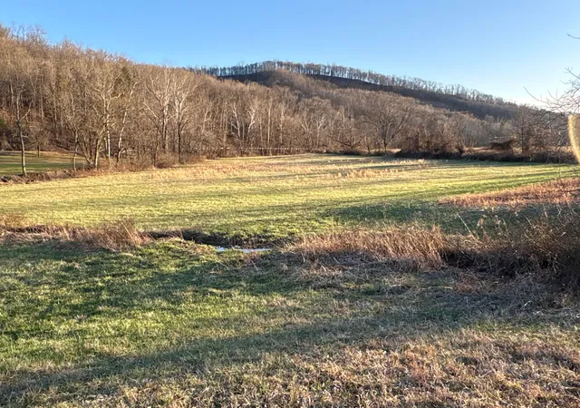 1st image of 0 Millers Run Fallen Timber Rd, Lucasville, OH 45648 | MLS# 226008733
