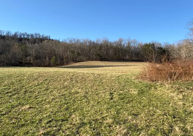 5th image of 0 Millers Run-Fallen Timber Rd, Lucasville, OH 45648 | MLS# 226008733