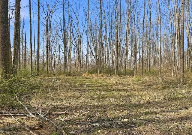 Photo 29 of Land for sale at 22470 Griffith Rd, Logan, OH 43138 | MLS# 226010696 | Listing updated on 2026-07-29