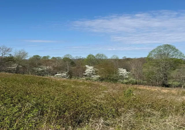4th image of 3233 Tick Ridge Rd, Wheelersburg, OH 45694 | MLS# 226010776