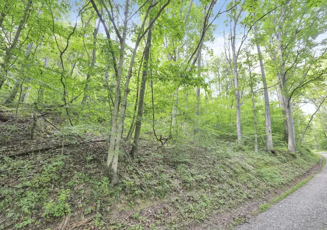 Homes for sale in Laurelville, OH | 0 Lot #1 Thad Hall Rd, Laurelville, OH 43135 | MLS# 226011368