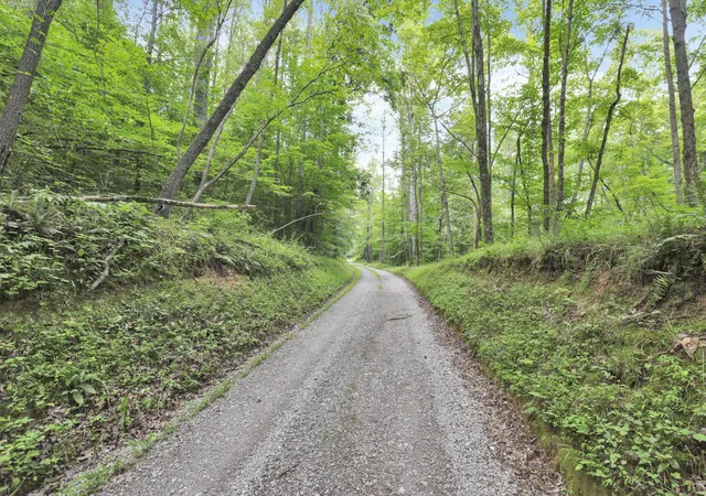 Homes for sale in Laurelville, OH | 0 Lot #1 Thad Hall Rd, Laurelville, OH 43135 | MLS# 226011368