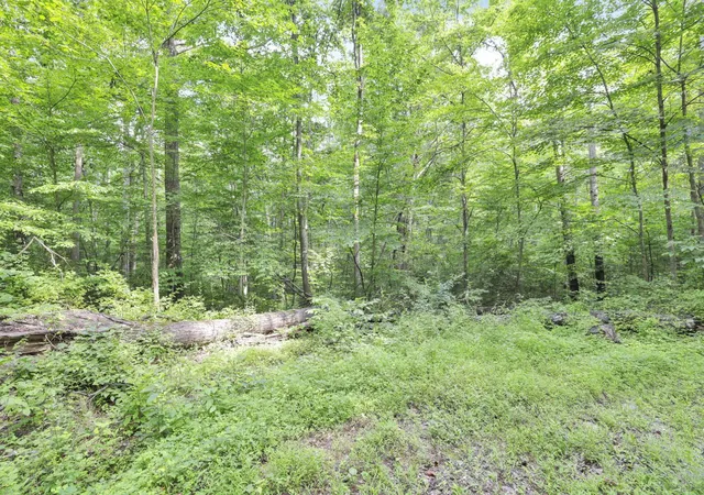 Homes for sale in Laurelville, OH | 0 Lot #1 Thad Hall Rd, Laurelville, OH 43135 | MLS# 226011368