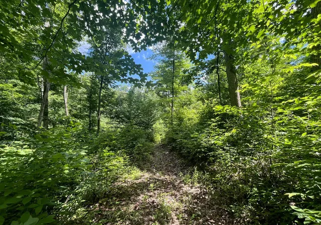 Homes for sale in Glouster, OH | 0 Waterworks Hill Rd, Glouster, OH 45732 | MLS# 226012446