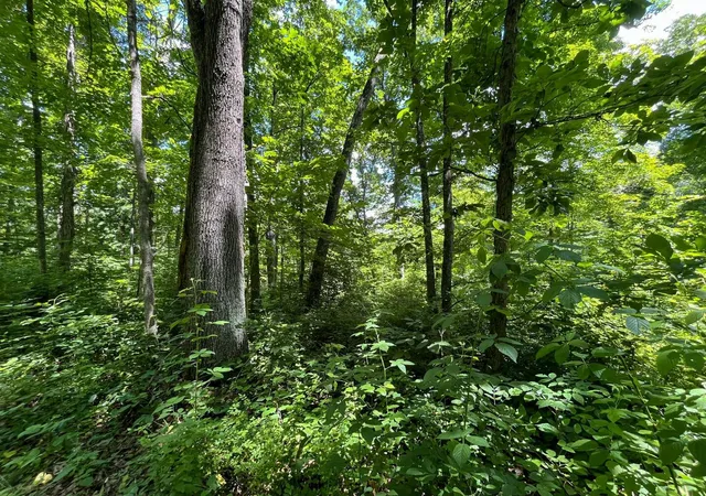 Homes for sale in Glouster, OH | 0 Waterworks Hill Rd, Glouster, OH 45732 | MLS# 226012446