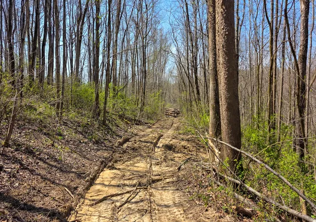 5th image of 0 Stockdale Ln #(Tract 5 at Muskingum Woods), Zanesville, OH 43701 | MLS# 226012944