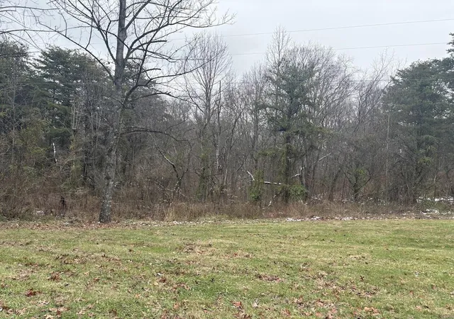 Homes for sale in Waterford, OH | 0 Miles Ln, Waterford, OH 45786 | MLS# 226013836