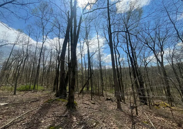 3rd image of 14040 Pinewood Trail Rd Ne, Newark, OH 43055 | MLS# 226014030