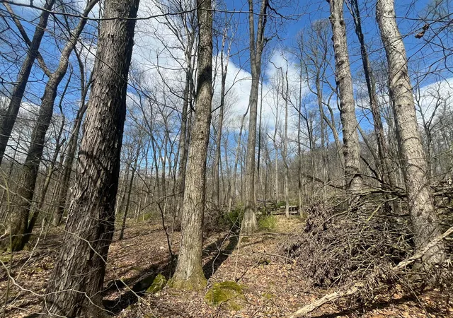5th image of 14040 Pinewood Trail Rd Ne, Newark, OH 43055 | MLS# 226014030