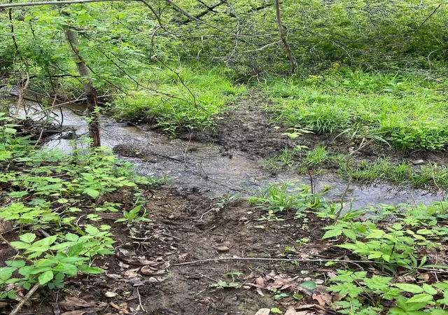 5th image of 0 Camp Rd, Mount Vernon, OH 43050 | MLS# 226014009