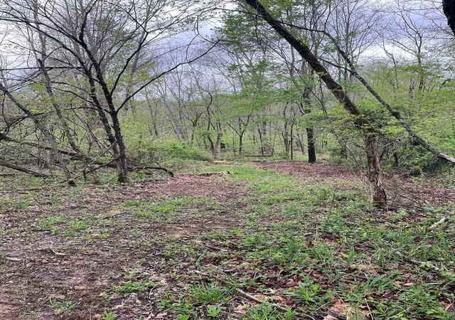 8th image of 0 Camp Rd, Mount Vernon, OH 43050 | MLS# 226014009