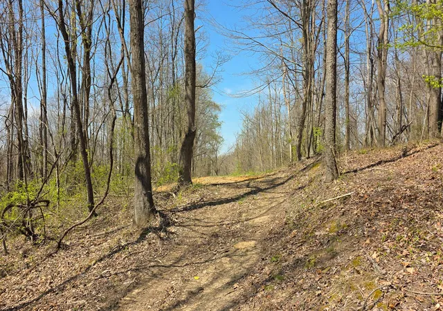 2nd image of 0 Dennis Rd #(Tract 4 at Muskingum Woods), Zanesville, OH 43701 | MLS# 226014066