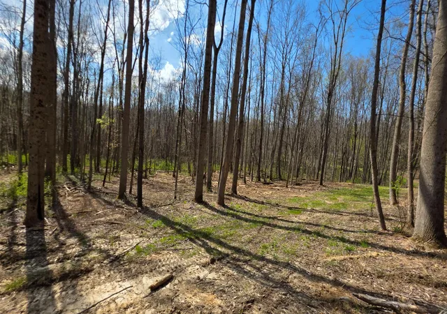 2nd image of 0 Dennis Rd #(Tract 1 at Muskingum Woods), Zanesville, OH 43701 | MLS# 226014709