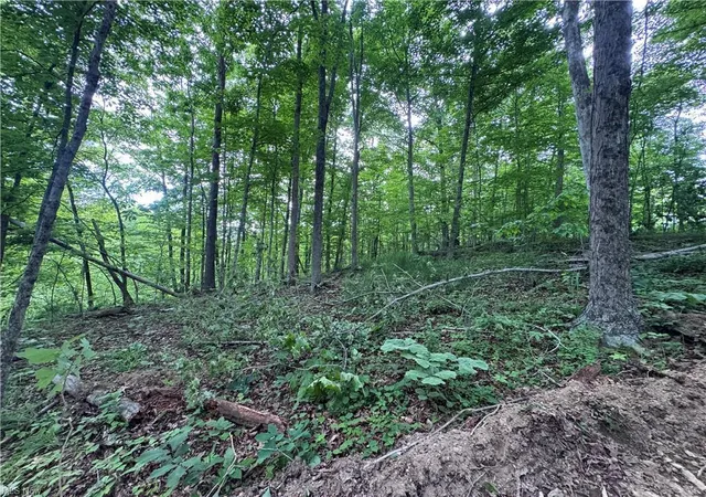 1st image of 10+  Walker Hill Rd #10.11, Stockport, OH 43787 | MLS# 226018093
