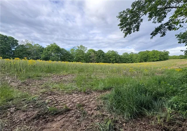 Photo 4 of Land for sale at 10+- Walker Hl Rd #10.11, Stockport, OH 43787 | MLS# 226018093 | Listing updated on 2026-10-20