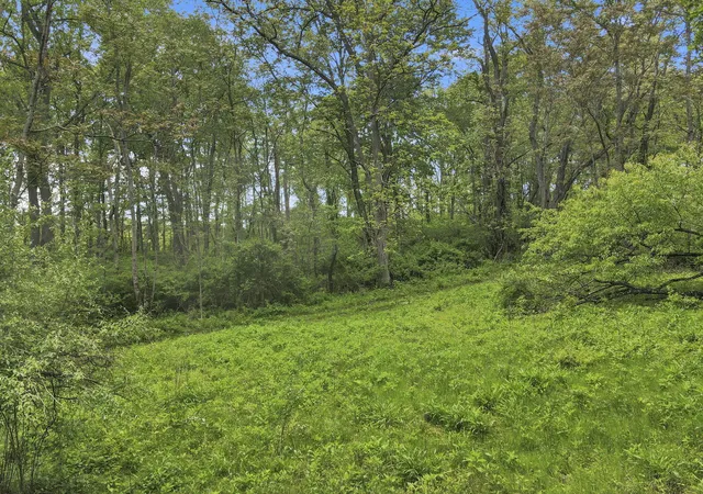 Photo 3 of Land for sale at 29500 Fairview Ridge Rd, Logan, OH 43138 | MLS# 226015235 | Listing updated on 2026-08-03