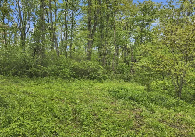 Photo 3 of Land for sale at 29500 Fairview Ridge Rd, Logan, OH 43138 | MLS# 226015235 | Listing updated on 2026-08-03