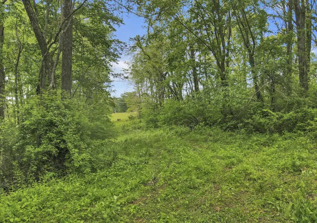 Photo 4 of Land for sale at 29500 Fairview Ridge Rd, Logan, OH 43138 | MLS# 226015235 | Listing updated on 2026-08-03
